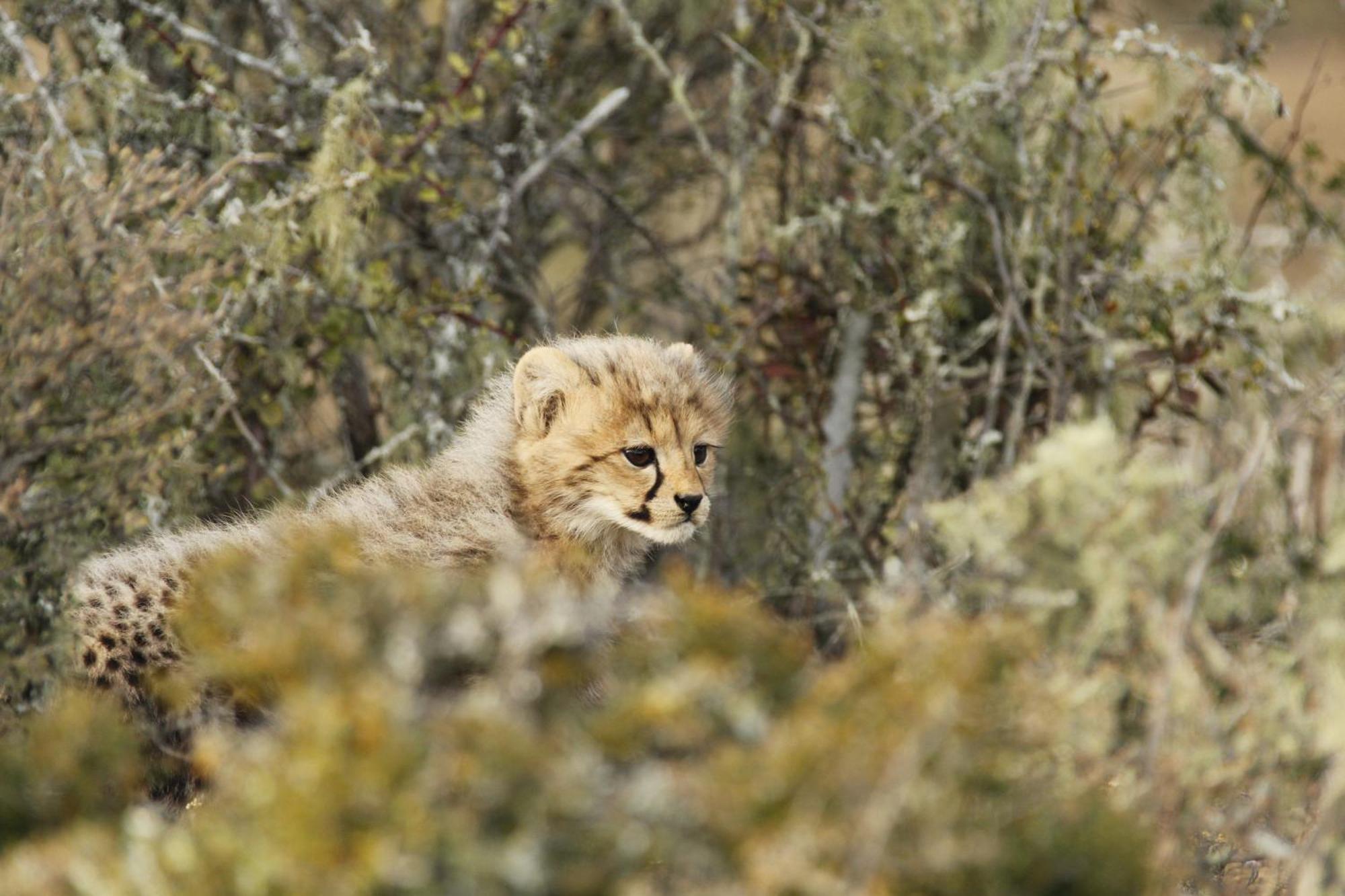Kwandwe Private Game Reserve - Great Fish River Lodge Граъмстаун Екстериор снимка