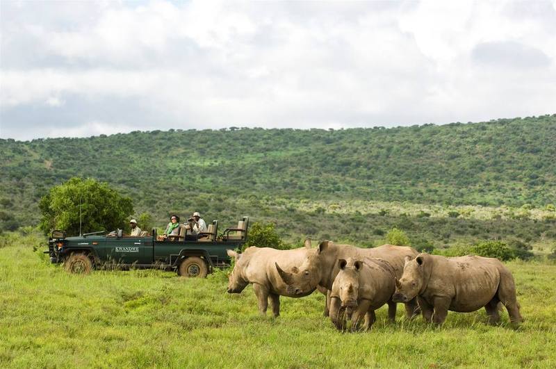 Kwandwe Private Game Reserve - Great Fish River Lodge Граъмстаун Екстериор снимка