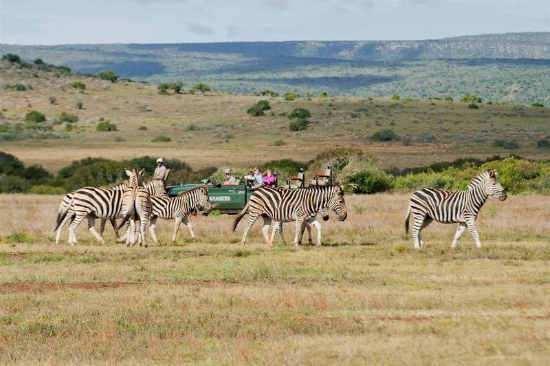 Kwandwe Private Game Reserve - Great Fish River Lodge Граъмстаун Екстериор снимка