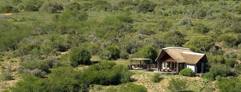 Kwandwe Private Game Reserve - Great Fish River Lodge Граъмстаун Екстериор снимка